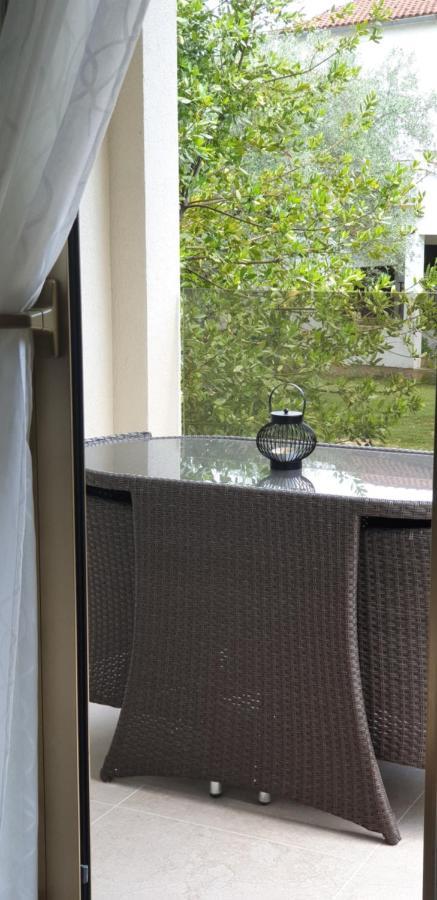 Apartmán Cocaletto5